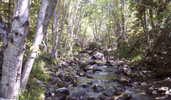Carson Creek Monitoring site