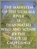 Gualala River Estuary