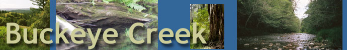 Buckeye Creek banner