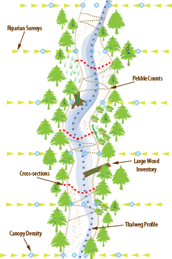 Monitoring Reach Diagram