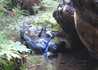 Snorkeling Robinson Creek West