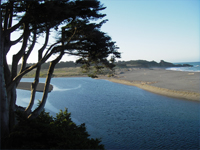 Estuary sand bar