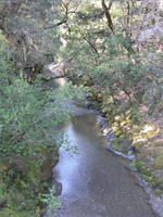 Upper North Fork Gualala